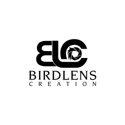 BirdlensCreation