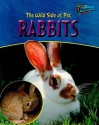 The Wild Side of Pet Rabbits - Jo Waters