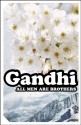 All Men are Brothers: Autobiographical Reflections - Mahatma Gandhi, Krishna Kripilani