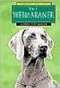 Weimaraner - Charlotte Wilcox