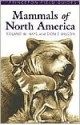 Mammals of North America - Roland Kays, Don E. Wilson