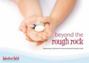 Beyond The Rough Rock: Supporting A Child Who Has Been Bereaved Through Suicide - Di Stubbs, Julie Stokes