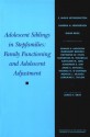 Adolescent Siblings in Stepfamilies: Family Functioning and Adolescent Adjustment: Monographs of the Society for Research in Child Development - E. Mavis Hetherington, David Reiss