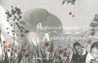 Avalanche of Wonders / Avalancha De Maravillas: Poems and Translations by the Students of Poetry Inside Out (The Best of Poetry Inside Out) - John Oliver Simon, Anita Sagastegui, Stacy McKenna