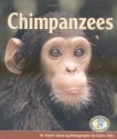 Chimpanzees - Karen Kane