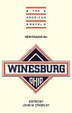 New Essays on Winesburg, Ohio - John William Crowley, Emory Elliot