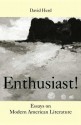 Enthusiast!: Essays on Modern American Literature - David Herd