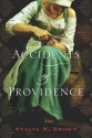 The Accidents of Providence - Stacia M. Brown