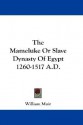 The Mameluke or Slave Dynasty of Egypt 1260-1517 A.D. - William Muir