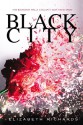 Black City - Elizabeth Richards