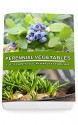 Perennial Vegetables: Top-30 Plants You Can Harvest Forever: (Gardening, Gardening Books, Botanical, Home Garden, Horticulture, Garden, Gardening, Plants, ... Perennial Vegetables, Vegetable Garden) - Julianne Garland