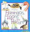 Flamingos, Loons and Pelicans - Mel Boring