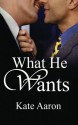 What He Wants - Kate Aaron