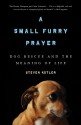 A Small Furry Prayer: Dog Rescue and the Meaning of Life - Steven Kotler