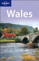 Lonely Planet Wales - Abigail Hole, Etain O'Carroll, John King