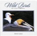 Wild Birds of California - David Lukas