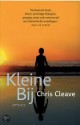 Kleine Bij - Chris Cleave, Dennis Keesmaat