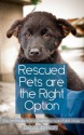 Rescued Pets Are The Right Option You Can Transcend And Overcome Neglect And Abuse - Debra Johnson