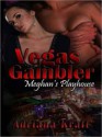 Vegas Gambler [Meghan's Playhouse Book 4] - Adriana Kraft