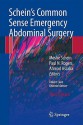 Schein's Common Sense Emergency Abdominal Surgery: An Unconventional Book for Trainees and Thinking Surgeons - Moshe Schein, Paul Rogers, Ahmad Assalia