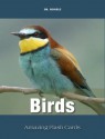 Birds Flash Cards (Amazing Flash Cards) - Dr. Hooelz, Badrinath P V, Augustine Devotta, Shutterstock