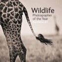 Wildlife Photographer Of The Year Portfolio 21 - Rosamund Kidman Cox