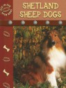 Shetland Sheepdogs - Lynn M. Stone