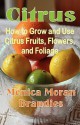 Citrus: How to Grow and Use Citrus Fruits, Flowers, and Foliage - Monica Moran Brandies