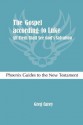 The Gospel According to Luke: All Flesh Shall See God's Salvation - Greg Carey