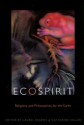 Ecospirit: Religions and Philosophies for the Earth - Laurel Kearns, Catherine Keller