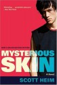 Mysterious Skin - Scott Heim