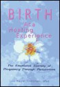 Birth as a Healing Experience: The Emotional Journey of Pregnancy Through Postpartum - Lois Halzel Freedman, J. Dianne Garner