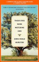 A Teacher's Guide to Their Eyes Were Watching God: Common-Core Aligned Teacher Materials and a Sample Chapter - Zora Neale Hurston, Amy Jurskis