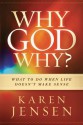 Why, God, Why?: What to Do When Life Doesn't Make Sense - Karen Jensen