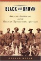 Black and Brown: African Americans and the Mexican Revolution,1910-1920 - Gerald Horne