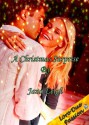 A Christmas Surprise (A Novella) (Cassidy Family Series) - Jana Leigh