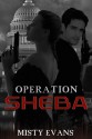 Operation Sheba - Misty Evans