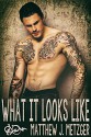 What It Looks Like - Matthew J. Metzger