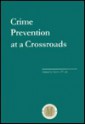 Crime Prevention at a Crossroads - Steven P. Lab, Joycelyn M. Pollock