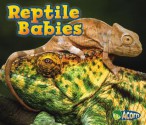 Reptile Babies - Catherine Veitch