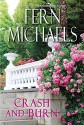 Crash and Burn (Sisterhood) - Fern Michaels