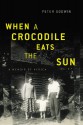 When a Crocodile Eats the Sun: A Memoir of Africa - Peter Godwin