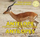 Antelope / Antilopes - Maddie Gibbs