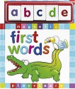 1st Words (Magnetic Play and Learn) - Top That