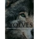 Wolves: Capturing The Natural Spirit of These Incredible Animals - Shaun Ellis