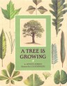 A Tree is Growing - Arthur Dorros