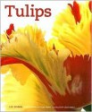 Tulips - Liz Dobbs