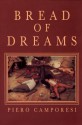 Bread of Dreams: Food and Fantasy in Early Modern Europe - Piero Camporesi, James Harvey Young, David Gentilcore