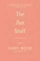 The Fun Stuff: And Other Essays - James Wood