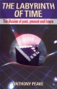 The Labyrinth of Time: Revealing the True Nature of Reality - Anthony Peake